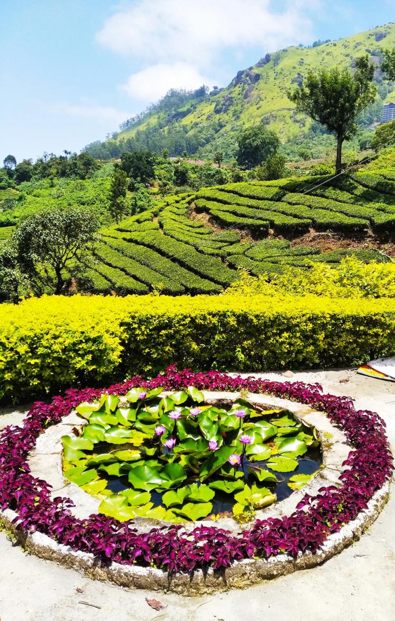 Blackcherry Munnar Exterior foto