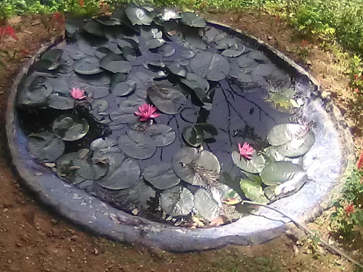Blackcherry Munnar Exterior foto